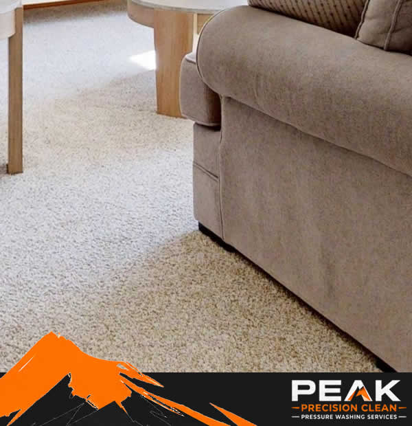 Deep Carpet Cleaning Makes a Difference