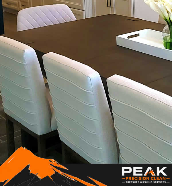 Professional Upholstery Cleaning Services