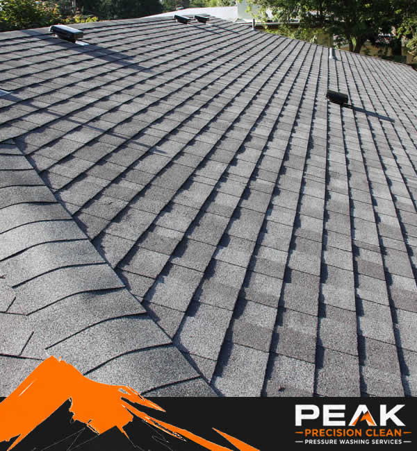 Roof Cleaning Services